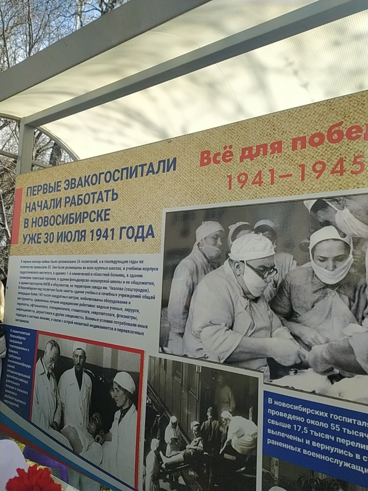 WhatsApp 2024-05-08 в 21.26.20_45ecb736